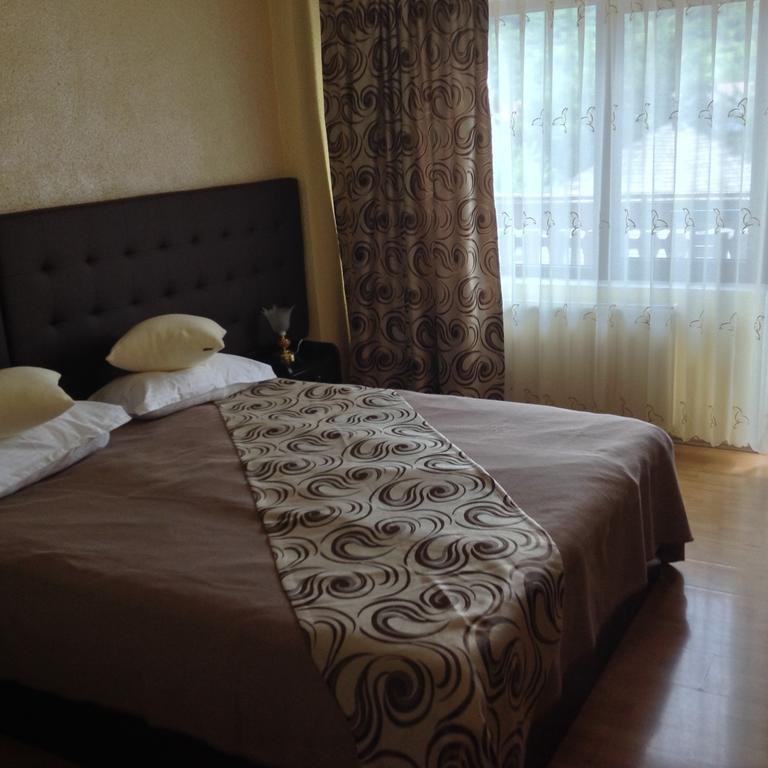 Motel Perla Sigheteana Sighetu Marmaţiei Dış mekan fotoğraf
