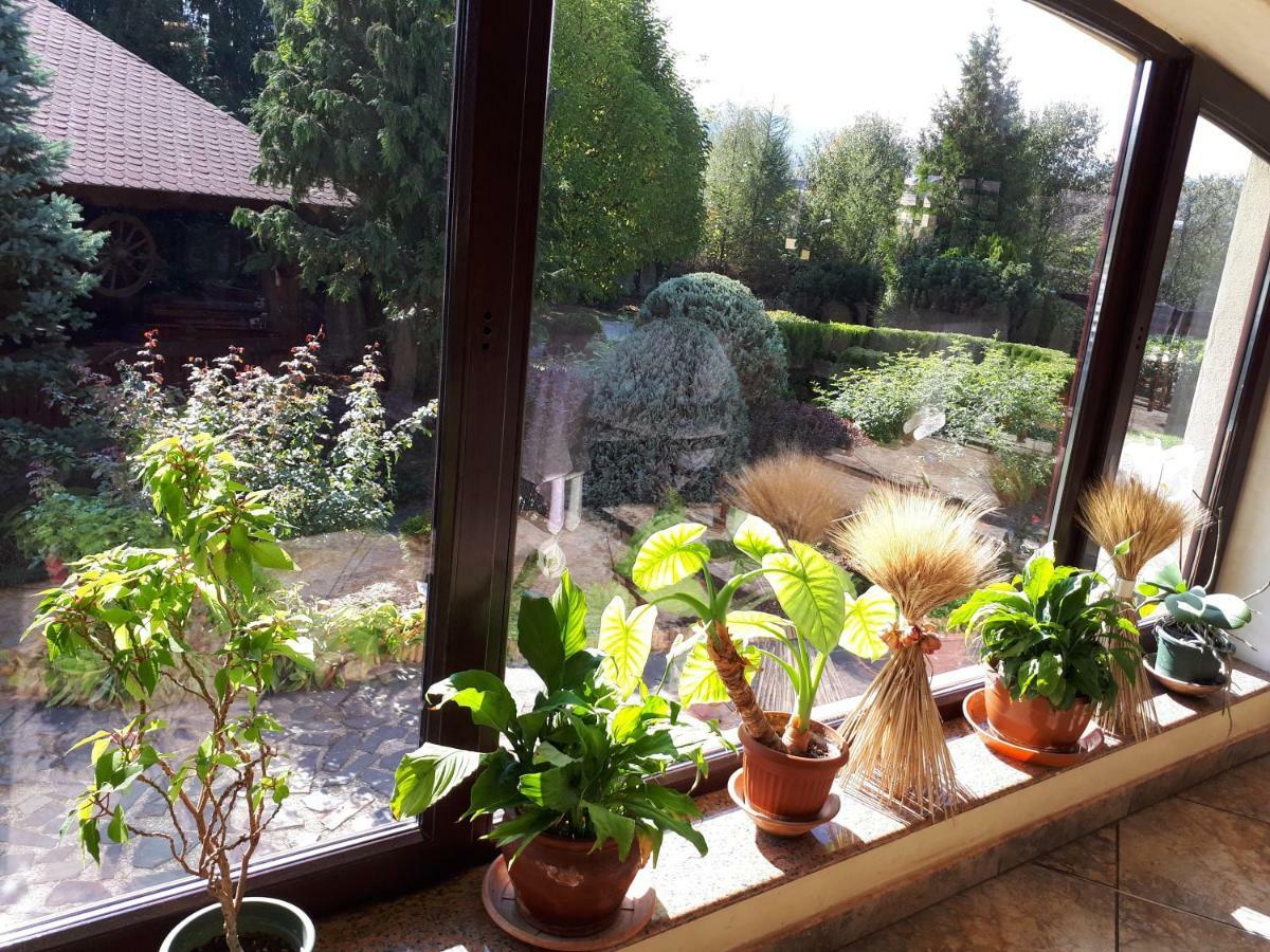 Motel Perla Sigheteana Sighetu Marmaţiei Dış mekan fotoğraf